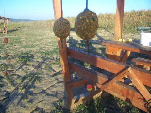 Monturi - 1004639p.jpg